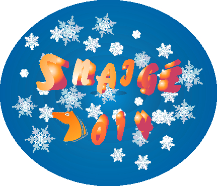 2014 m. „Snaigės“ žygių regalijos