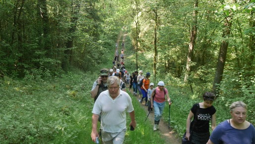 2017-05-28 Pėsčiųjų žygio Grigiškėse akimirkos
