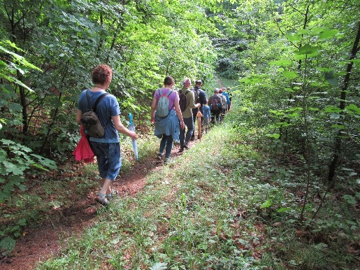 2019-06-16 Pėsčiųjų žygio Belmonto miškais akimirkos