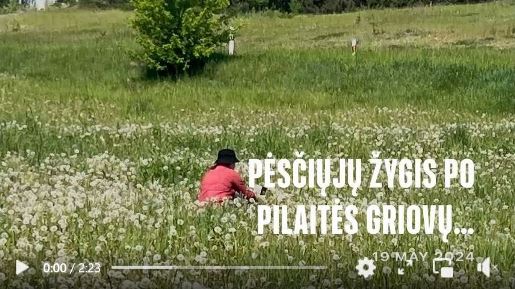 2024-05-19 Pėsčiųjų žygio po Pilaitės Griovų draustinį akimirkos