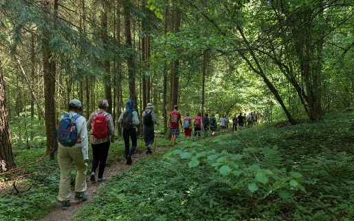 2024-05-26 Pėsčiųjų žygio po Vanaginės kalvas akimirkos