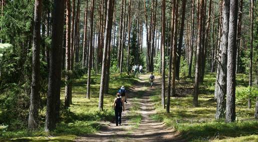 2024-06-30 Pėsčiųjų žygio Balžio ežero (Šilo) apylinkėmis akimirkos