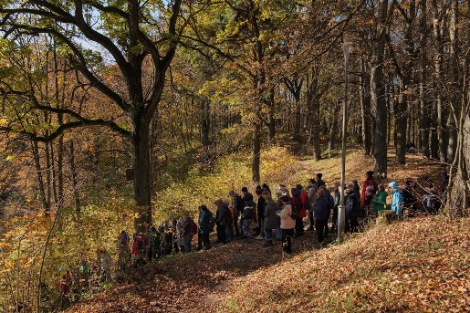 2024-10-20 Pėsčiųjų žygio po Markučių apylinkes akimirkos