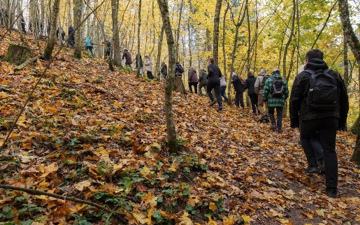 2024-10-27 Pėsčiųjų žygio Barsukynės kalvynais akimirkos