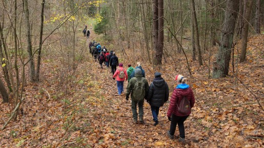 2024-11-10 Pėsčiųjų žygio po Panerių erozinį kalvyną akimirkos
