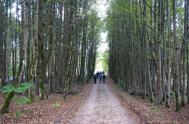 2026-09-27 Pėsčiųjų žygio po Verkių parką akimirkos