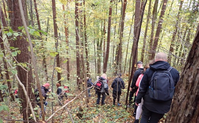 2026-10-18 Pėsčiųjų žygio po Panerių erozinį kalvyną akimirkos